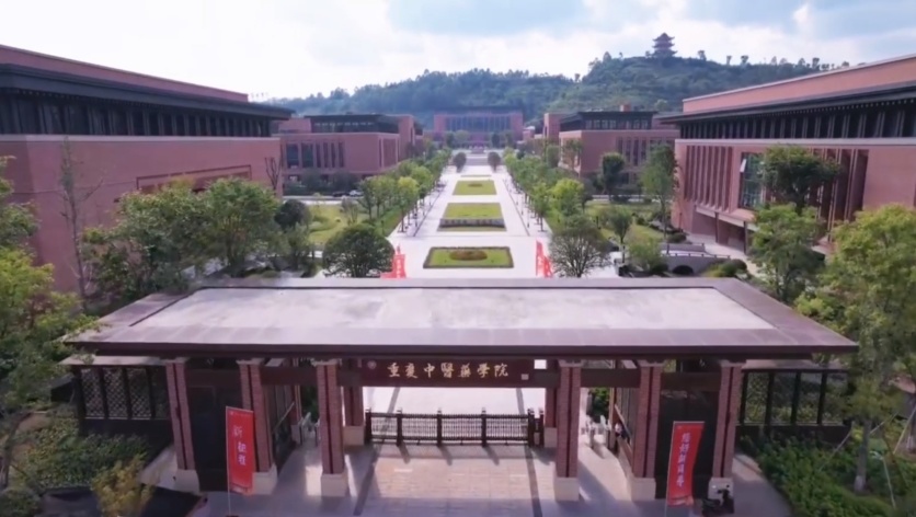 中醫院學院